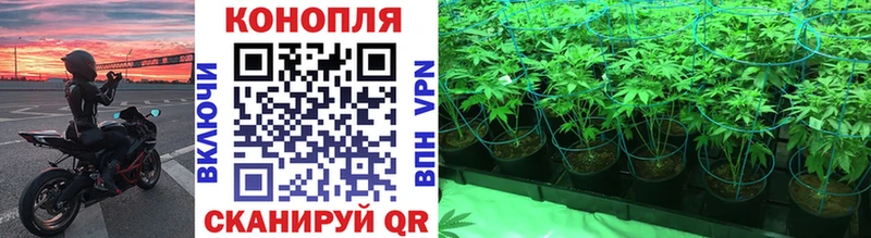 Виды наркоты Павлово Бошки Шишки СК Галлюциногенные грибы МЕФ Гашиш АМФЕТАМИН