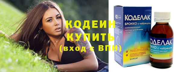 прущие грибы Сафоново