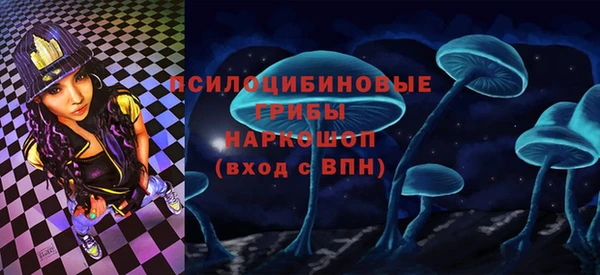 прущие грибы Сафоново