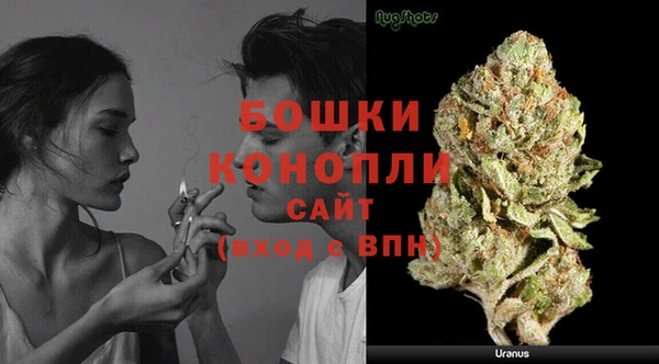 прущие грибы Верея